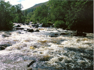Going to the Berries: Blairgowrie's Berry Fields and the River Tay | Middleshade