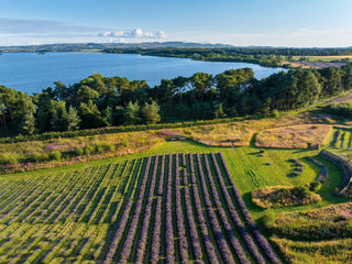 Gifts for People Who Love Scotland but Don't Live There