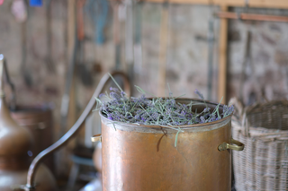 Scottish Lavender: One Night at the Still