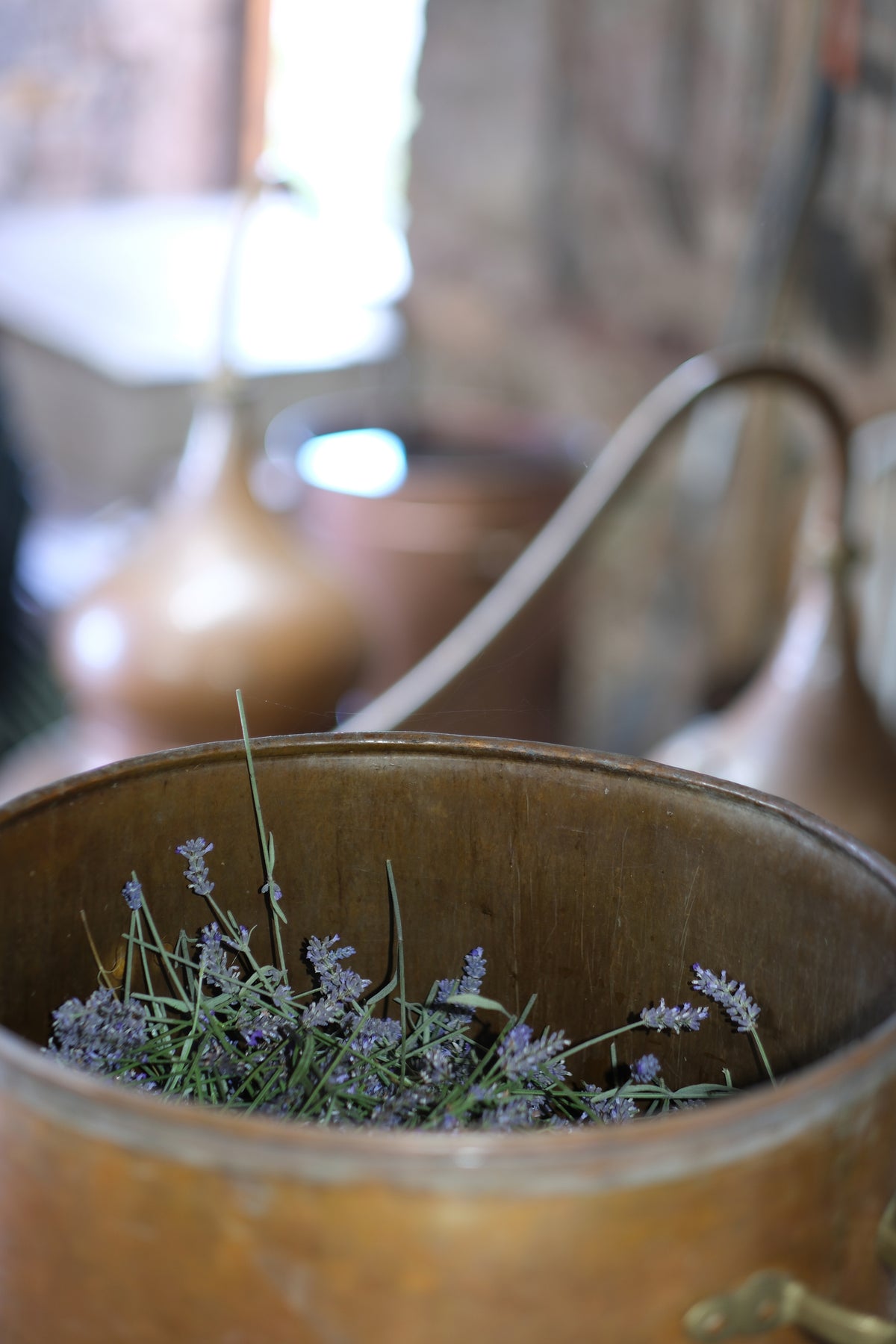 The still at Tarhill Farm