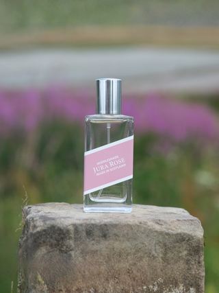 Jura Rose