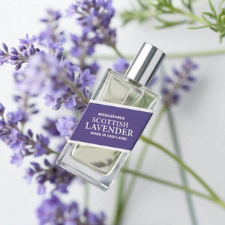 Scottish Lavender