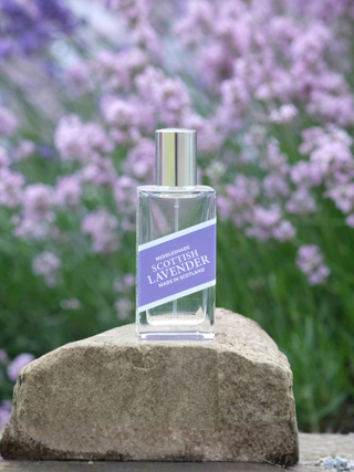 Scottish Lavender