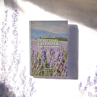 Scottish Lavender 2 ml Sample